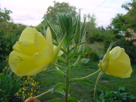 DSC03565