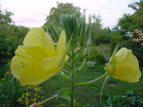 DSC03567