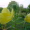 DSC03567