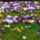 Esztveszejtoen__csodas_kepek_-025_1466108_2456_t