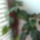 Meg_gyerek_de_mar_bimbos_1466270_4199_t