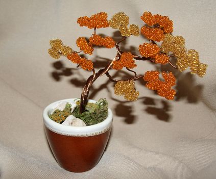 őszi bonsai