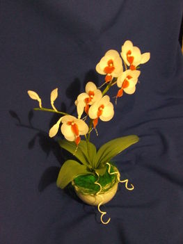 szakállas orchidea2