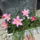 Szep_vagyok_1466958_6309_t