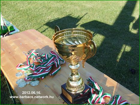 Barbacs a bajnok 2012-ben 159
