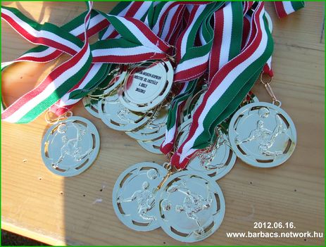Barbacs a bajnok 2012-ben 161