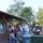 Barbacs_a_bajnok_2012ben_165_1468056_5903_t