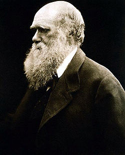 Charles Darwin /1809-1882/