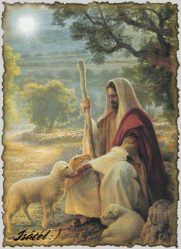 Jézus a jó pásztor!