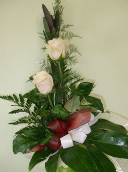 Leucadendron-rózsa