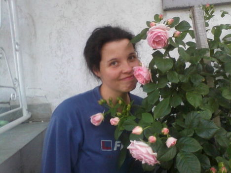rózsáim 9