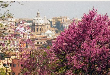 Tavaszi kép Rómából 2012 március25