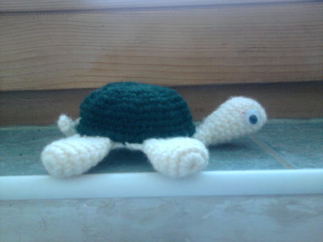 Az én teknősöm