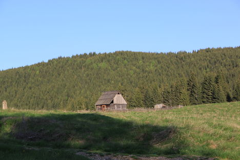 Egy magányos esztena Sipos tetőn