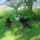 Ennyire_telt_berci_erejebol_felemelte_a_fejet_1471628_5885_t
