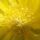 J_andras_csak_neked_es_csak_most_1471823_7064_t