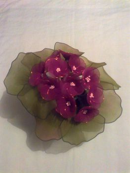 lila cserepes virág 1