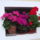 Viragok-003_1471354_3341_t