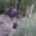 Viragok-004_1471353_8584_t