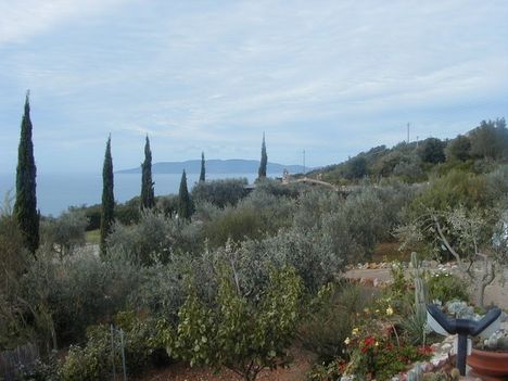 Mapaluca 1- Toscana
