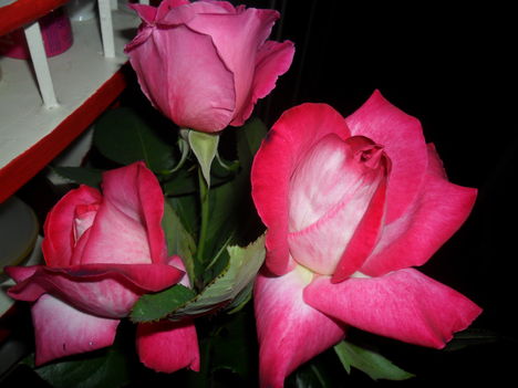 rózsáim 3