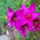 100_6537_1474366_6625_t