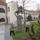 Dsc07881_1474533_7553_t