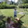 Dscn1315_1474393_1076_t