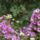 Ki_ismeri_fel_1474630_7317_t