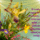 Szeretetrol__2_1474161_1621_t