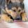 Takarito_1474940_4822_t