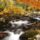 Laurel_creek_in_autumn_great_smoky_mountains_tennessee_1476983_7567_t
