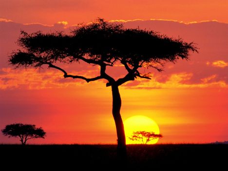 Masai_Mara_Game_Reserve_at_Sunset_Kenya
