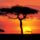 Masai_mara_game_reserve_at_sunset_kenya_1476991_9528_t