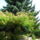 20120629-003_1477498_9795_t
