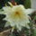 Dscf5791_1477997_3313_t