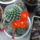 Dscf5793_1477991_9281_t