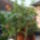 Murvafurt-001_1477747_8356_t