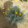 Virag-001_1477568_5424_t