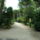 Grado_9_1047027_1967_t