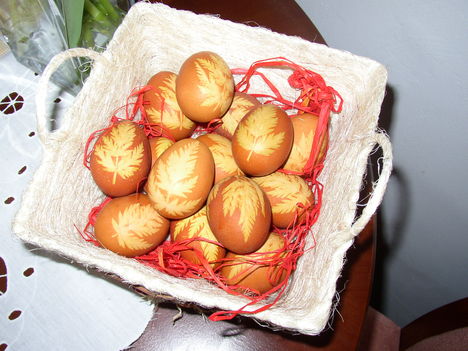 Kisbodak, Húsvéti tojásfestés hagymahéjjal, büröklevél díszítéssel