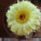DSCF5822