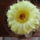 Dscf5822_1481082_9629_t