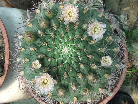 DSCF5835