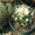 Dscf5838_1481344_2832_t
