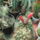 Dscf5840_1481334_3616_t