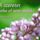 A_szeretetrol__1484131_7623_t