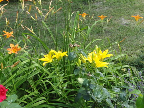 DSC08994