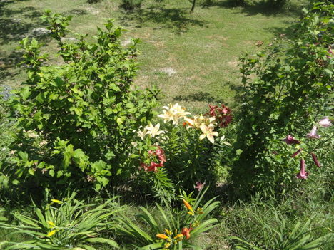 DSC08999