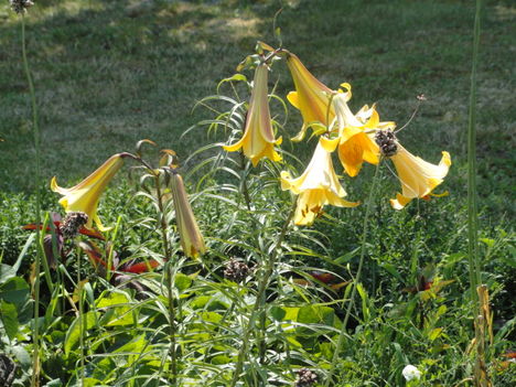 DSC09100